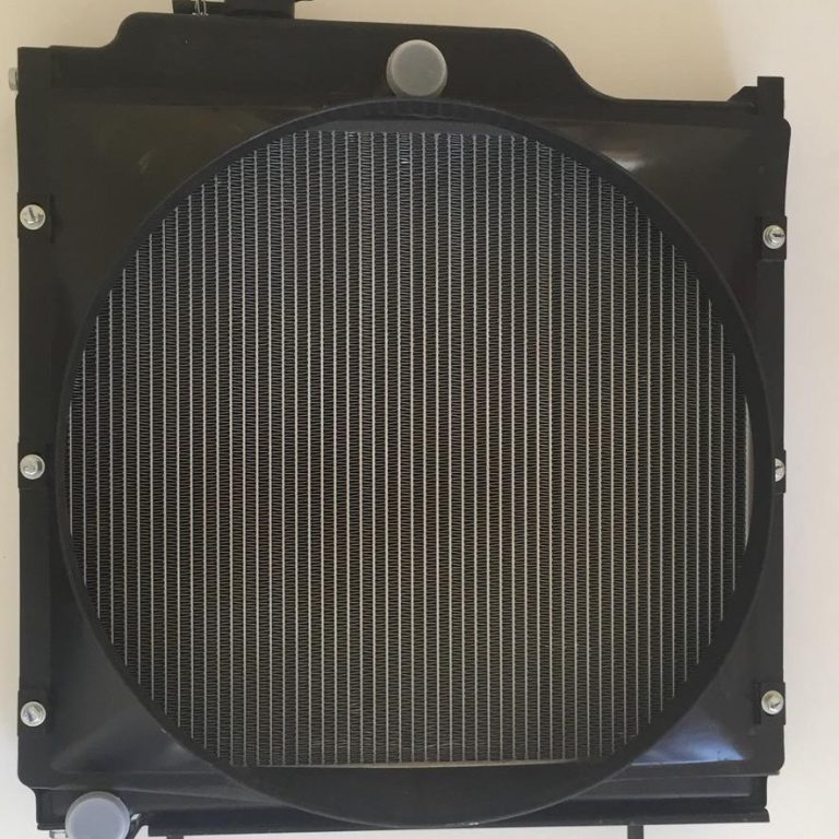 Radyatör - 10083492AA